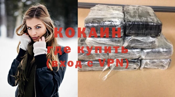 крисы Абаза