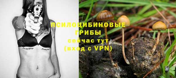 амф Алексин