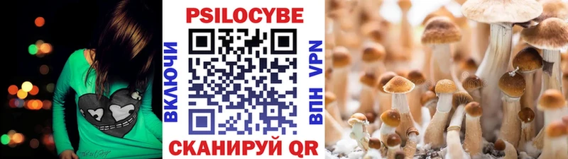 ОМГ ОМГ ссылка  Энгельс  Псилоцибиновые грибы ЛСД 