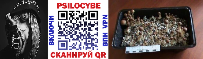 Галлюциногенные грибы мухоморы Энгельс